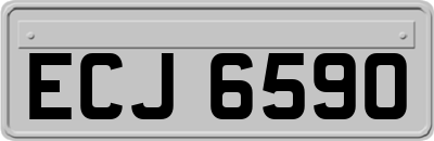 ECJ6590