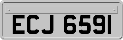 ECJ6591