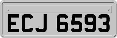 ECJ6593