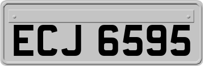 ECJ6595