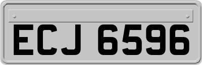 ECJ6596