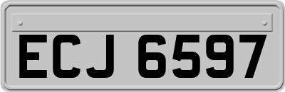 ECJ6597