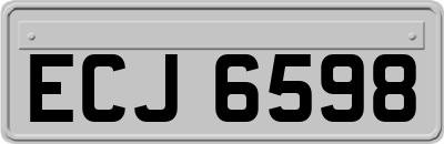 ECJ6598
