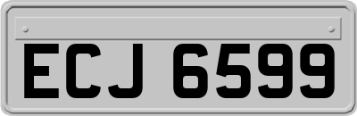 ECJ6599