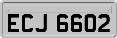 ECJ6602
