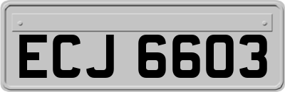 ECJ6603