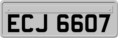 ECJ6607