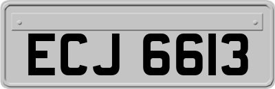 ECJ6613