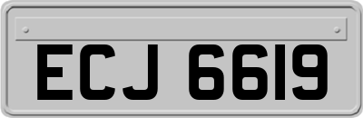 ECJ6619