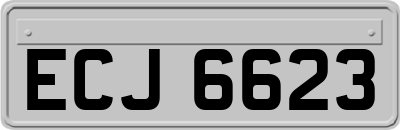 ECJ6623