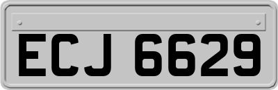 ECJ6629