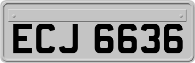 ECJ6636