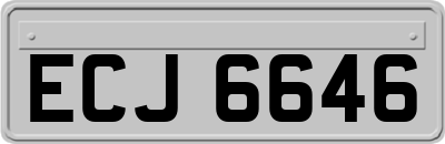 ECJ6646
