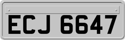 ECJ6647