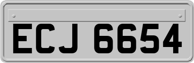 ECJ6654