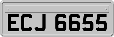 ECJ6655