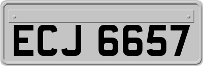 ECJ6657