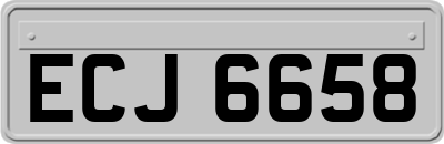 ECJ6658