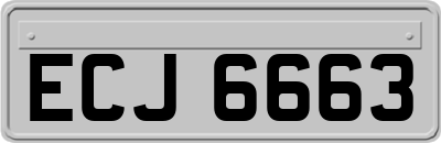 ECJ6663