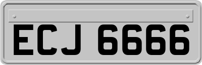 ECJ6666