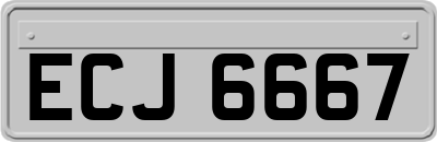 ECJ6667