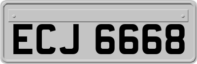 ECJ6668