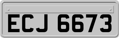 ECJ6673