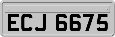 ECJ6675