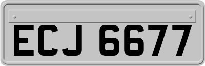 ECJ6677