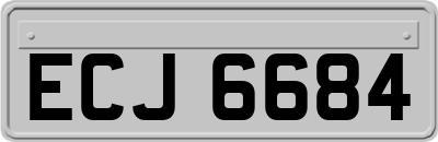 ECJ6684