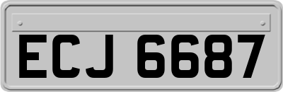 ECJ6687