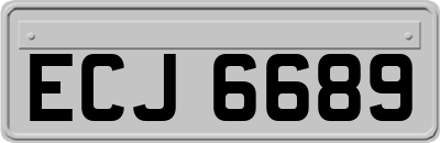 ECJ6689