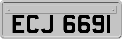 ECJ6691