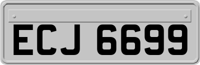 ECJ6699