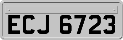 ECJ6723