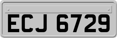 ECJ6729
