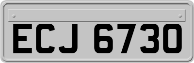 ECJ6730