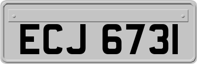 ECJ6731