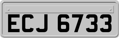 ECJ6733