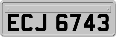 ECJ6743