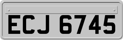 ECJ6745
