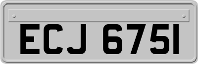 ECJ6751