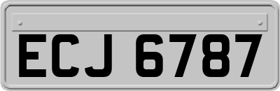 ECJ6787