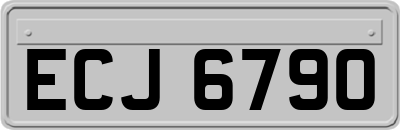 ECJ6790