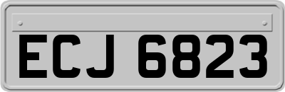 ECJ6823