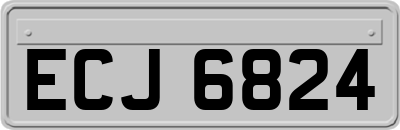 ECJ6824