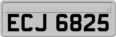ECJ6825