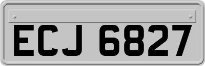 ECJ6827