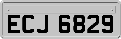 ECJ6829