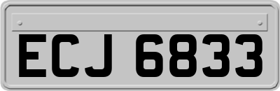 ECJ6833